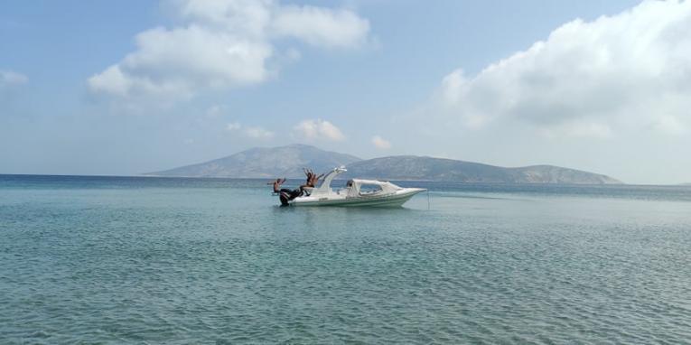 Rent a RIB boat from Naxos.